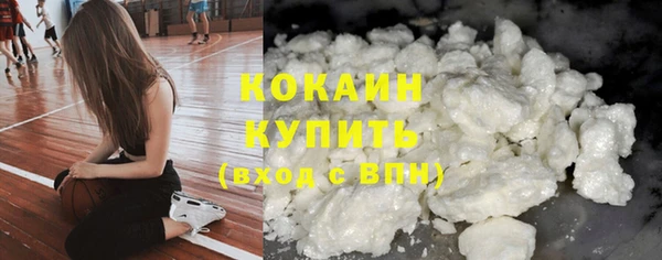 прущие грибы Нея