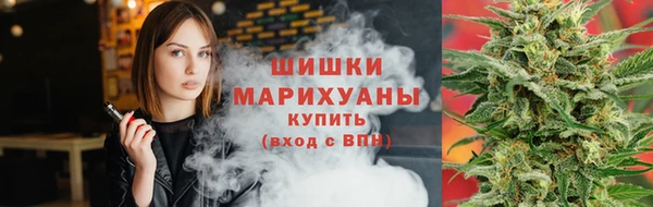 прущие грибы Нея