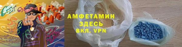 прущие грибы Нея