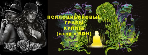 сатива Сатка