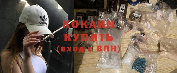 прущие грибы Нея