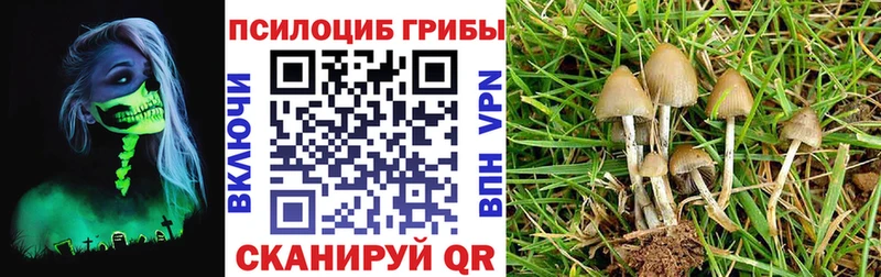 Псилоцибиновые грибы GOLDEN TEACHER Краснообск